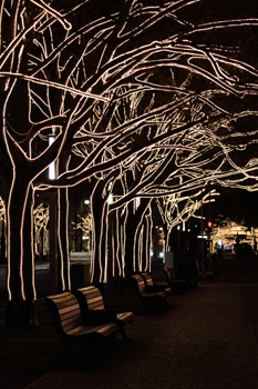 ドイツ Unter den Linden