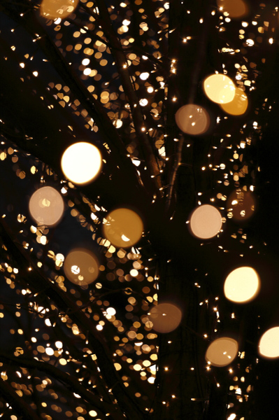 イルミネーション1