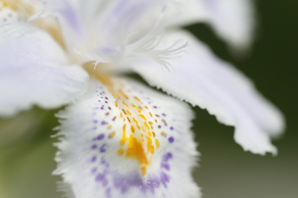 WB オート 補正＋1