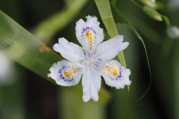 WB 太陽光 補正＋0.3 マクロ