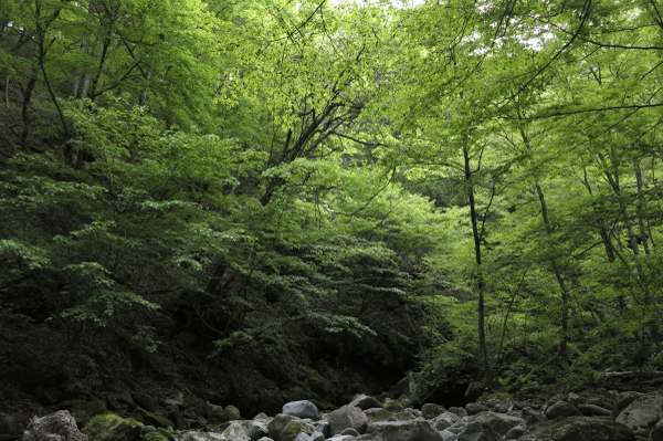 ほの暗い空間－1補正