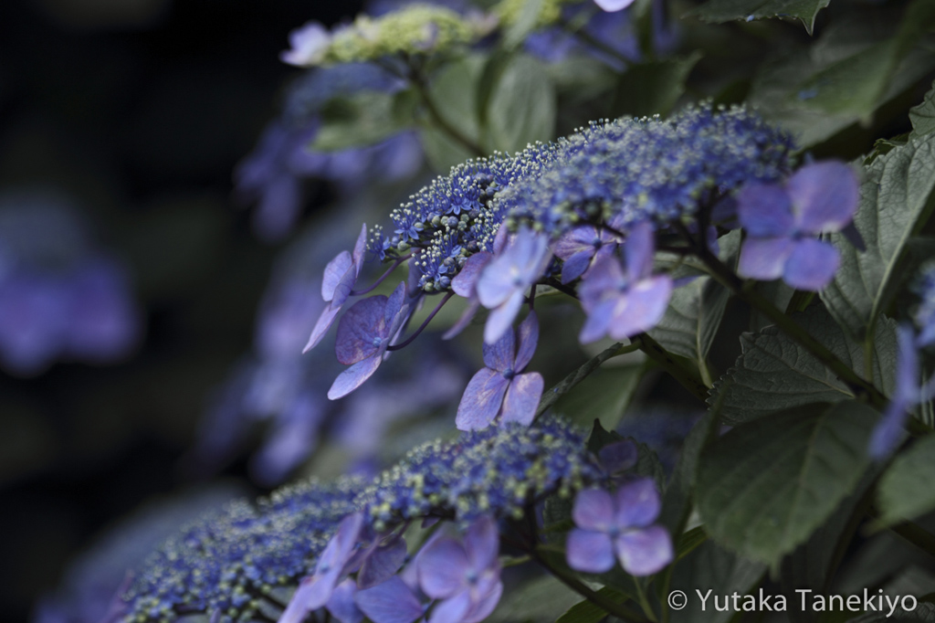 マイナス0.3補正