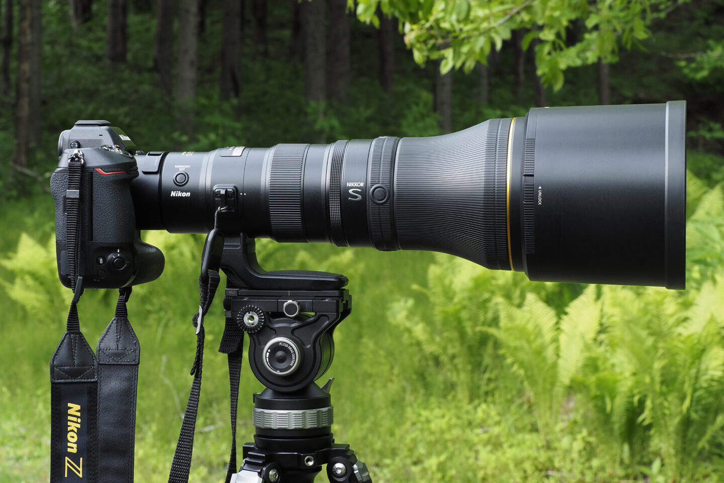 ニコン NIKKOR Z 800mm f/6.3 VR S レビュー｜野鳥撮影の標準レンズ