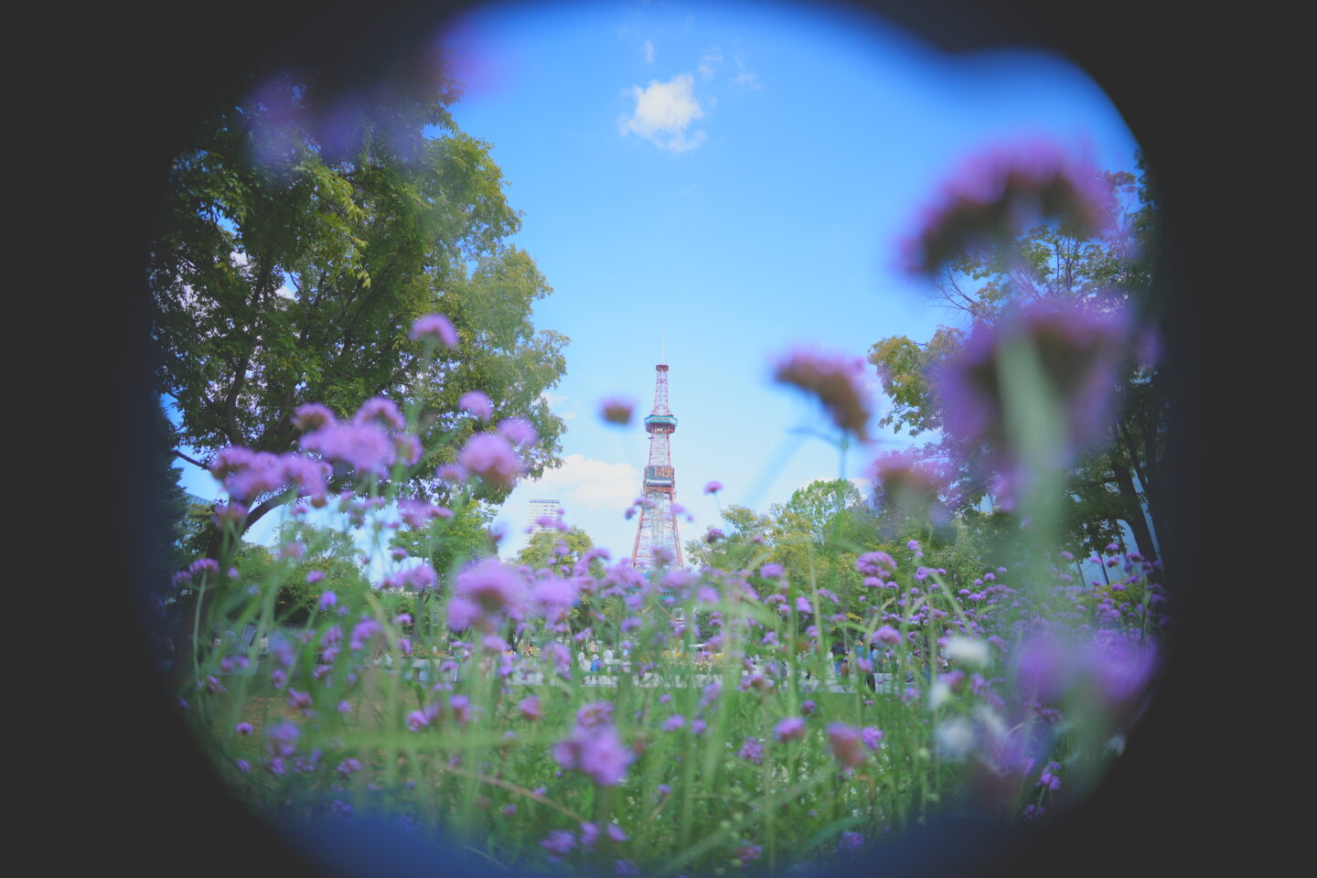 E15mm F1.4 ソニー