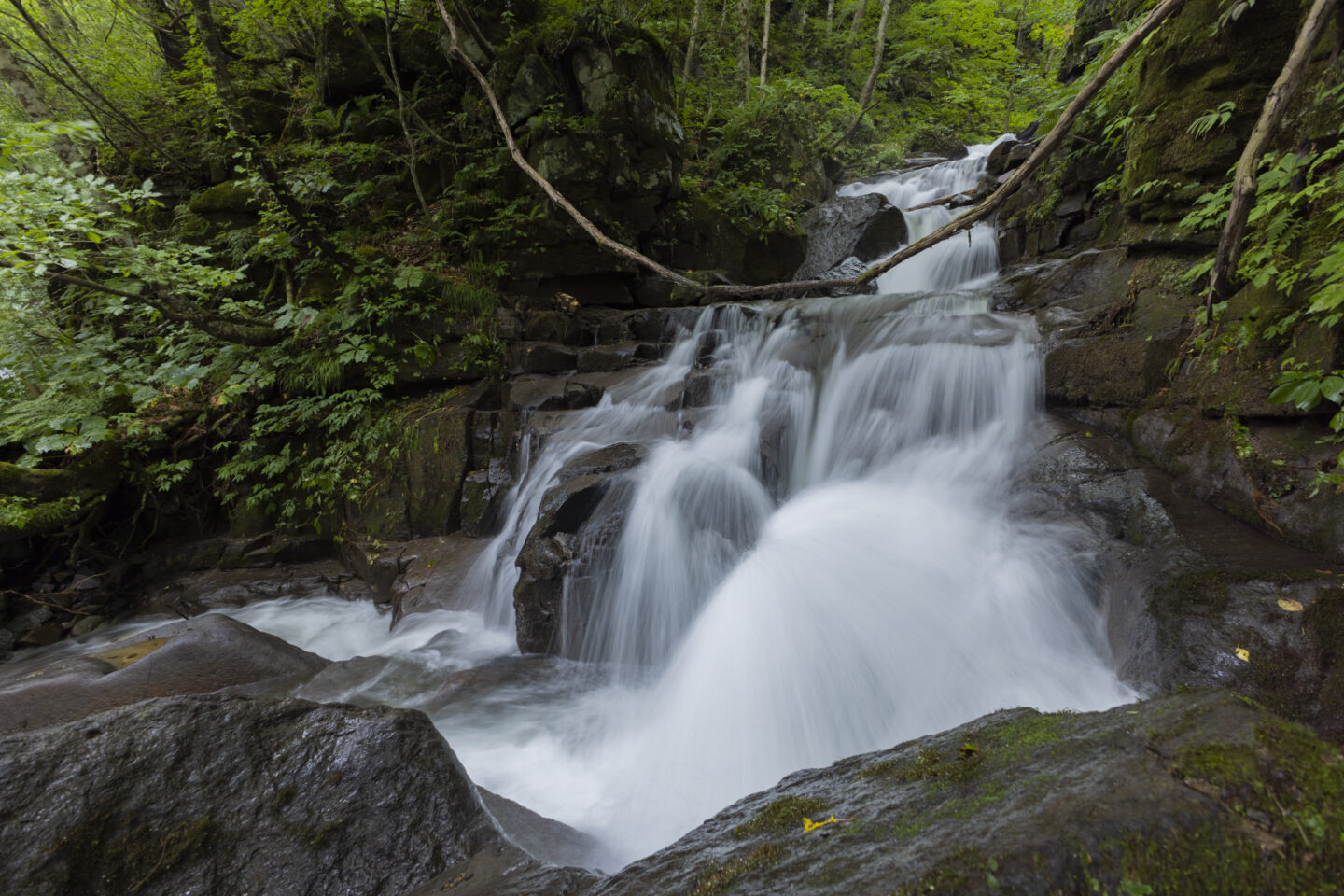 超広角　Canon RF 15-30mm F4.5-6.3 IS STM