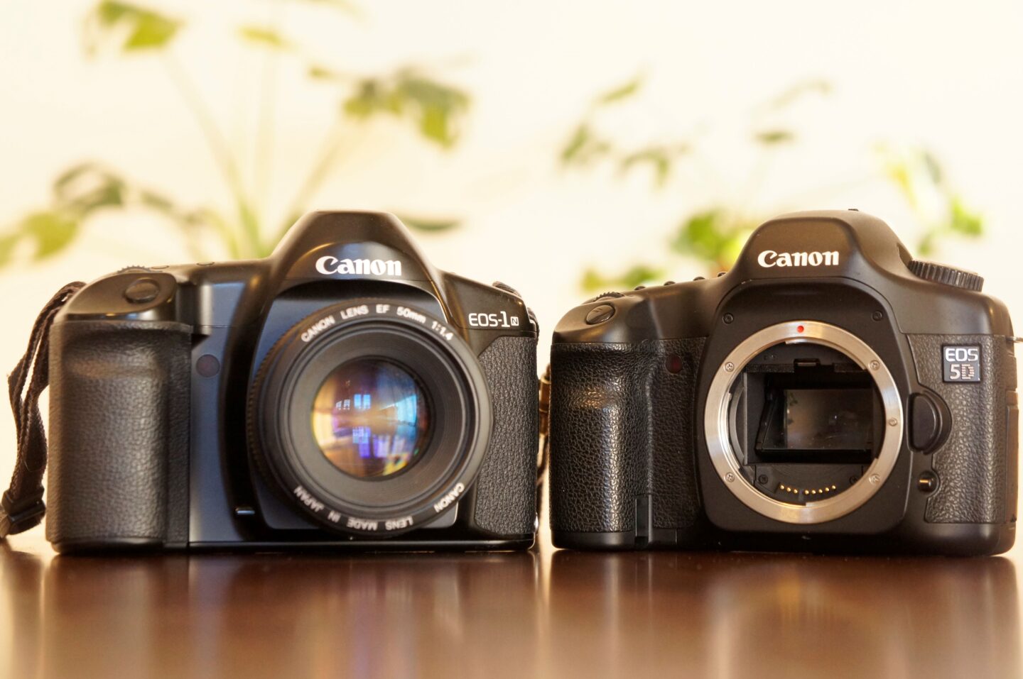 ジャンク】Canon EOS-1D mark2 EF50mm 靠れる 1.4