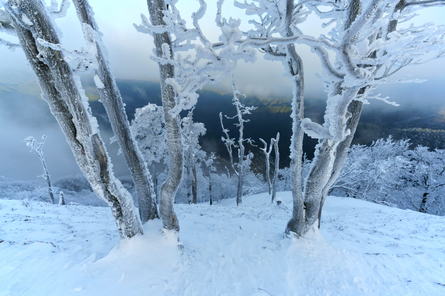 風景写真の引き出しを増やす！｜その4：構図 編 ～2023/2/8まで寸評ご応募受付中～