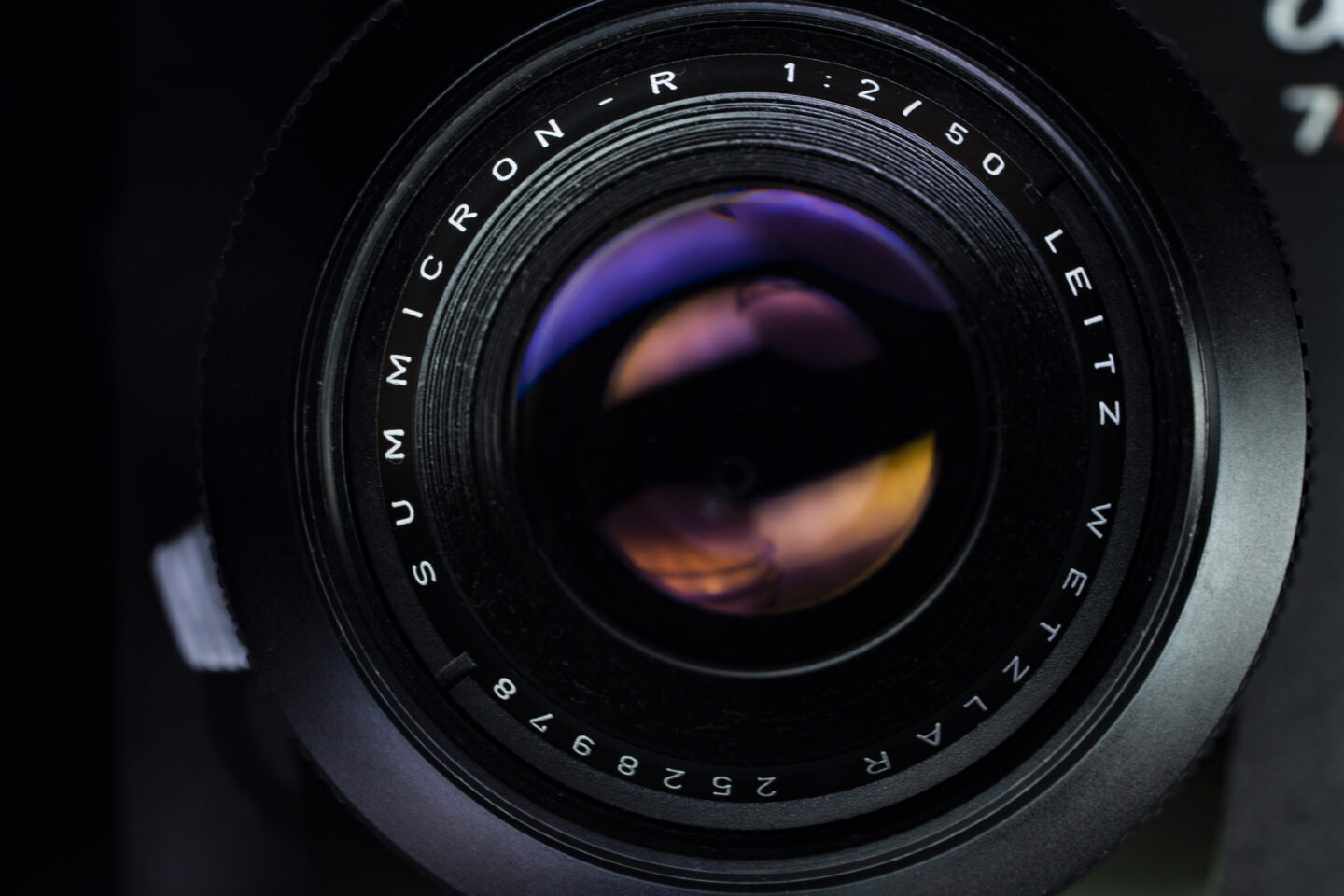 【オールドレンズ】ライカの味わいを感じるスタンダードレンズ「Leica SUMMICRON-R 50mm F2」