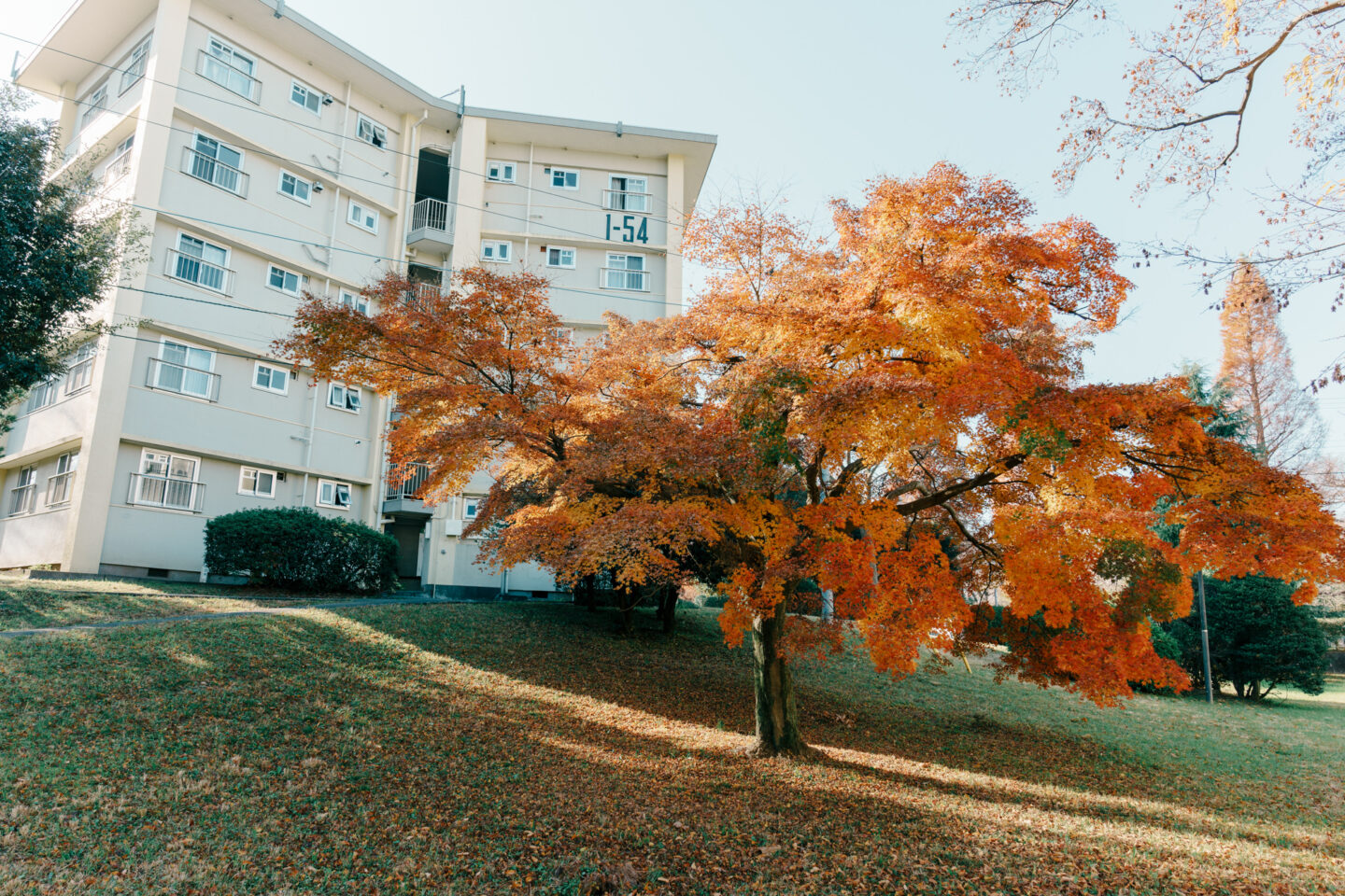 TAMRON 24mm F 2.8 Di III OSD M ​​1：2 レンズ