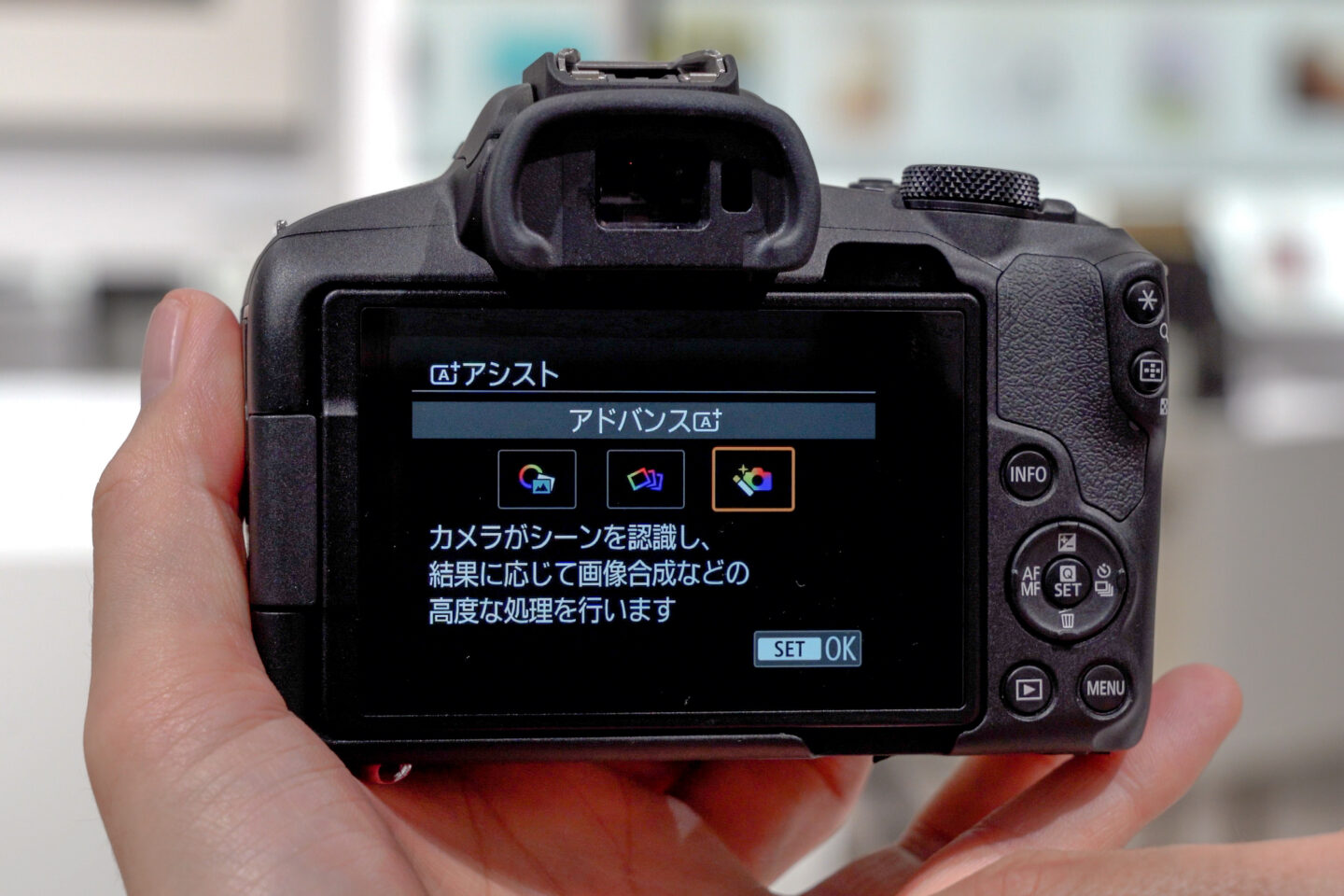 キヤノン EOS R50 登場！｜小型・軽量で初心者の方にも安心の1台 | ShaSha