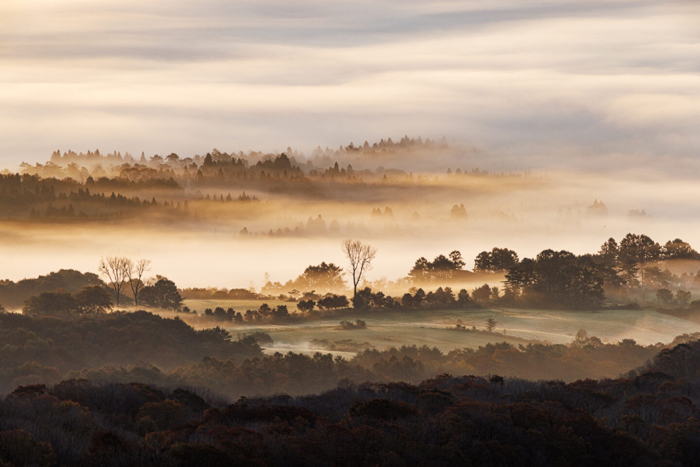 秋に現れる神秘の美しさ「霧と雲海」の風景写真｜八木千賀子