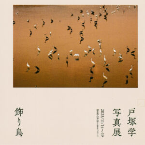 戸塚学 写真展『飾り鳥』2023年11月14日～19日＠東京・Nine Gallery