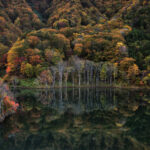 風景写真撮影テクニック～モニターキャリブレーション編～｜齋藤朱門
