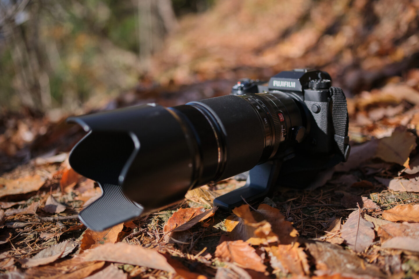 富士フイルム XF50-140mmF2.8 R LM OIR WR｜不意に訪れる近距離の  