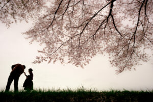スナップで街めぐり。一瞬の情景を愉しもう。Vol.21｜清瀬（東京） スナップ感覚で撮る桜