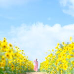 ゆるふわ写真家むらいさちの、ひまわり撮影術♪