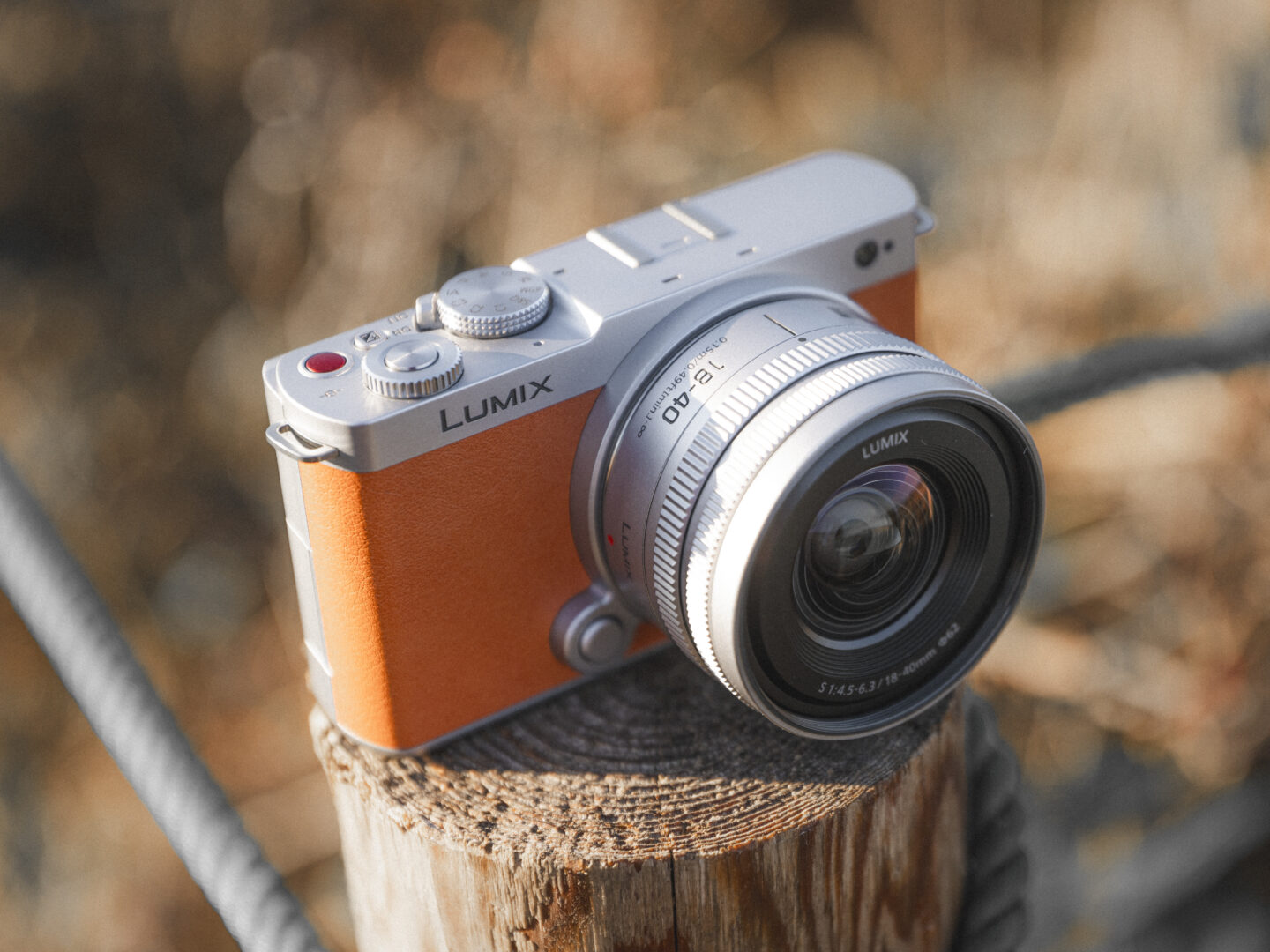 パナソニック LUMIX S9 新色が登場！ | 鮮やかな色合いのキャメル 