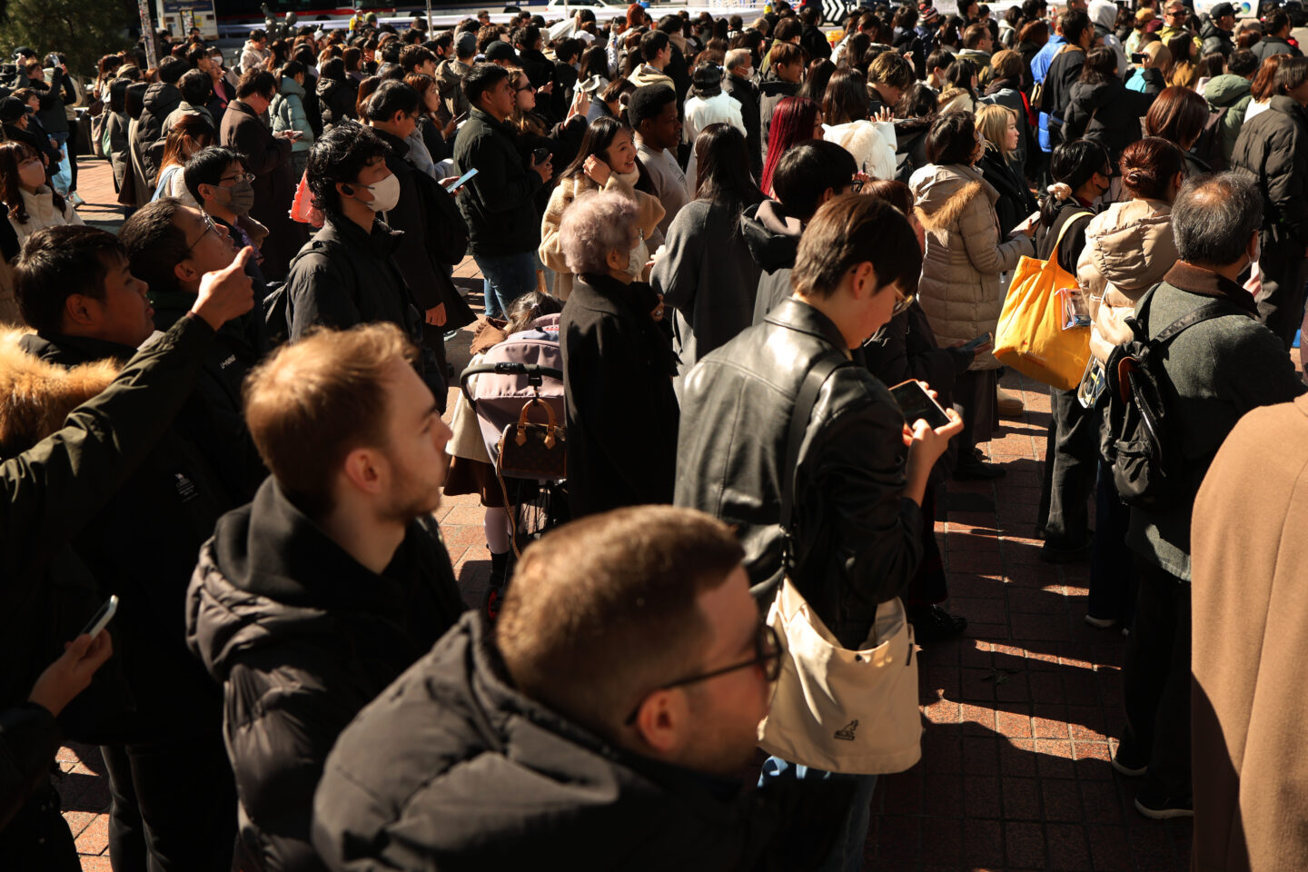 月山街撮り写真館 