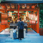 第8回フィルムカメラを始めよう！憧れの中判レンジファインダー：Plaubel Makina67編