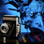 映画の中の、あのカメラ｜10 レイブンズ(2025) Part2 小西六Pearl