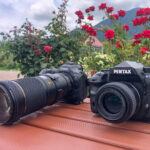 ネイチャースナップのすすめ｜マクロレンズを楽しもう