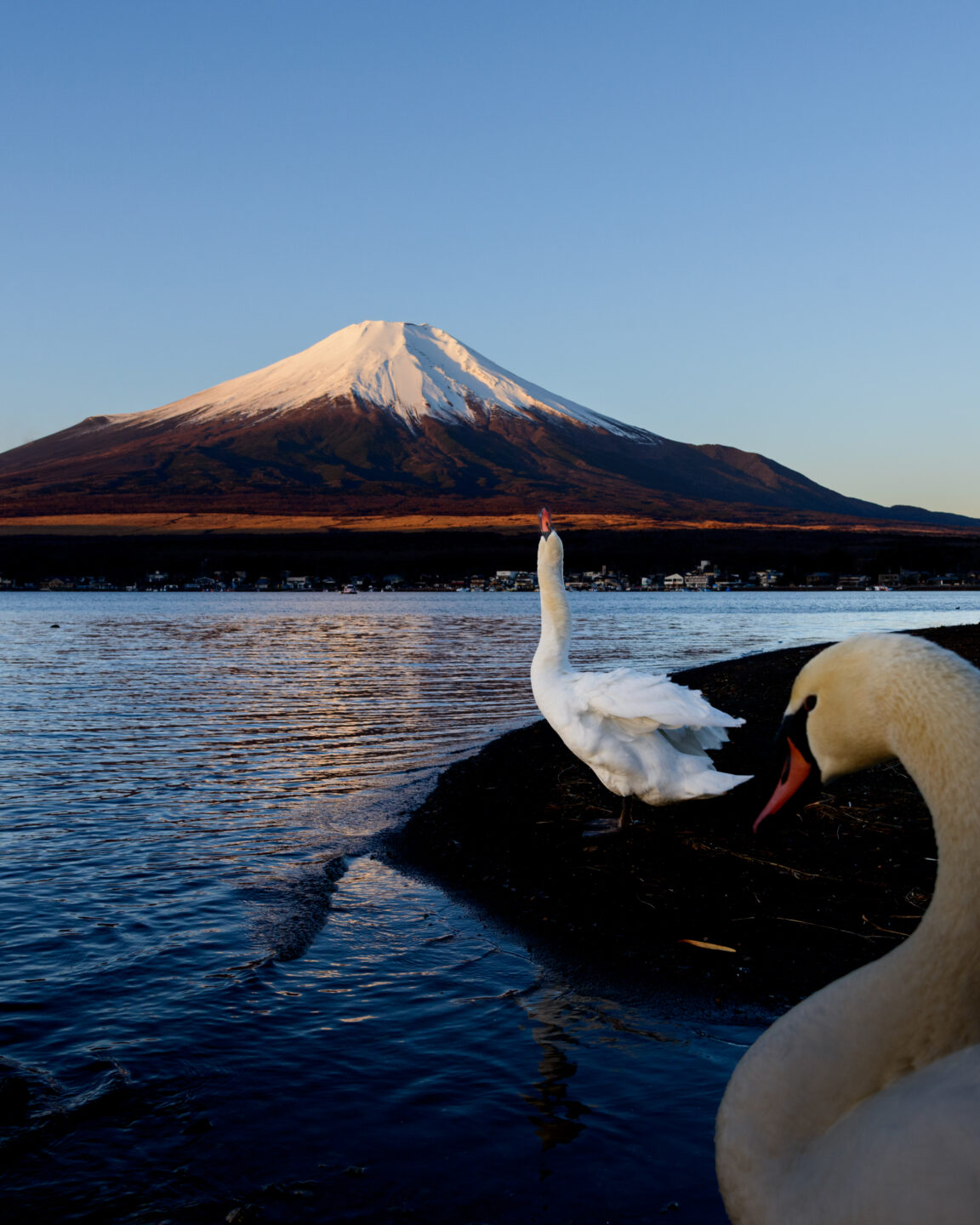 プラスαの現像スキルでより魅力的な一枚に！ vol.3 「完成度を高めるトリミングと進化した削除機能」