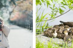 ソニー プロカメラマンセミナーを2週連続開催！講師は9月20日yuria氏、9月27日山田芳文氏が登壇｜全国のカメラのキタムラ50店舗でライブ中継！