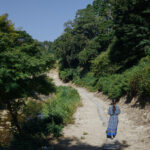 キヤノン RF35mm F1.4 L VCMレビュー｜やはり最新クラスのレンズは半端じゃない性能