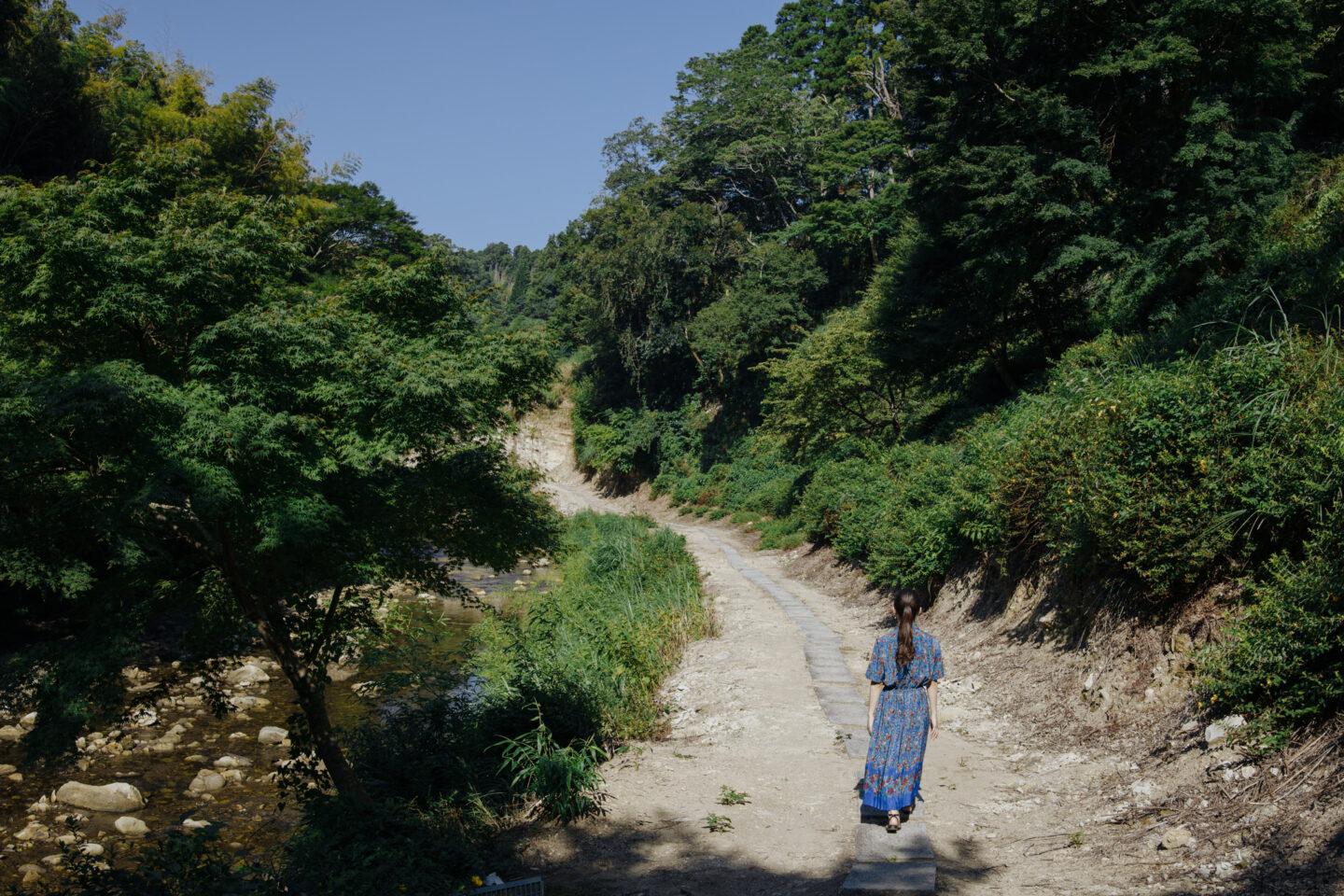 キヤノン RF35mm F1.4 L VCMレビュー｜やはり最新クラスのレンズは半端じゃない性能