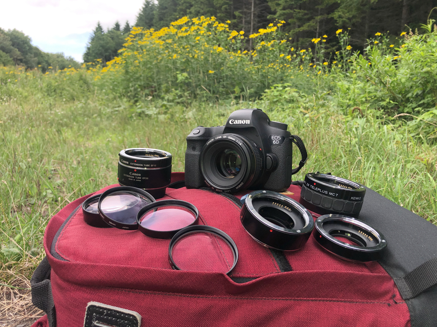 ネイチャースナップのすすめ｜接写アクセサリーを使ってみよう