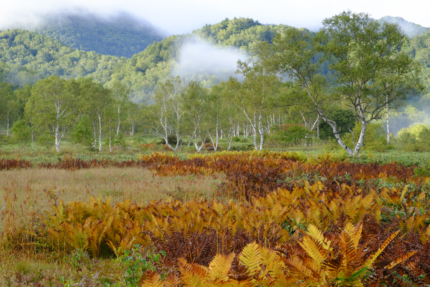 風景写真をビフォー・アフターで学ぶ｜その9：初秋編