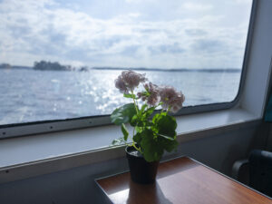 富士フイルム GFX100RF|【続】ストックホルムへの旅に携えたカメラ