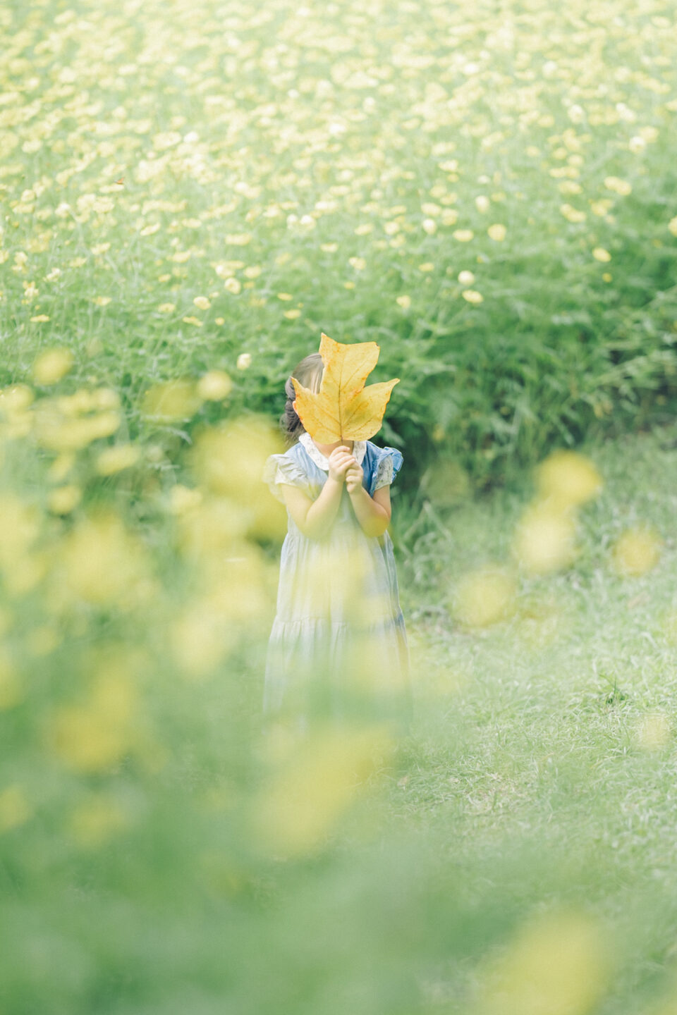 わが子の写真をソニー α7C IIと｜yuria