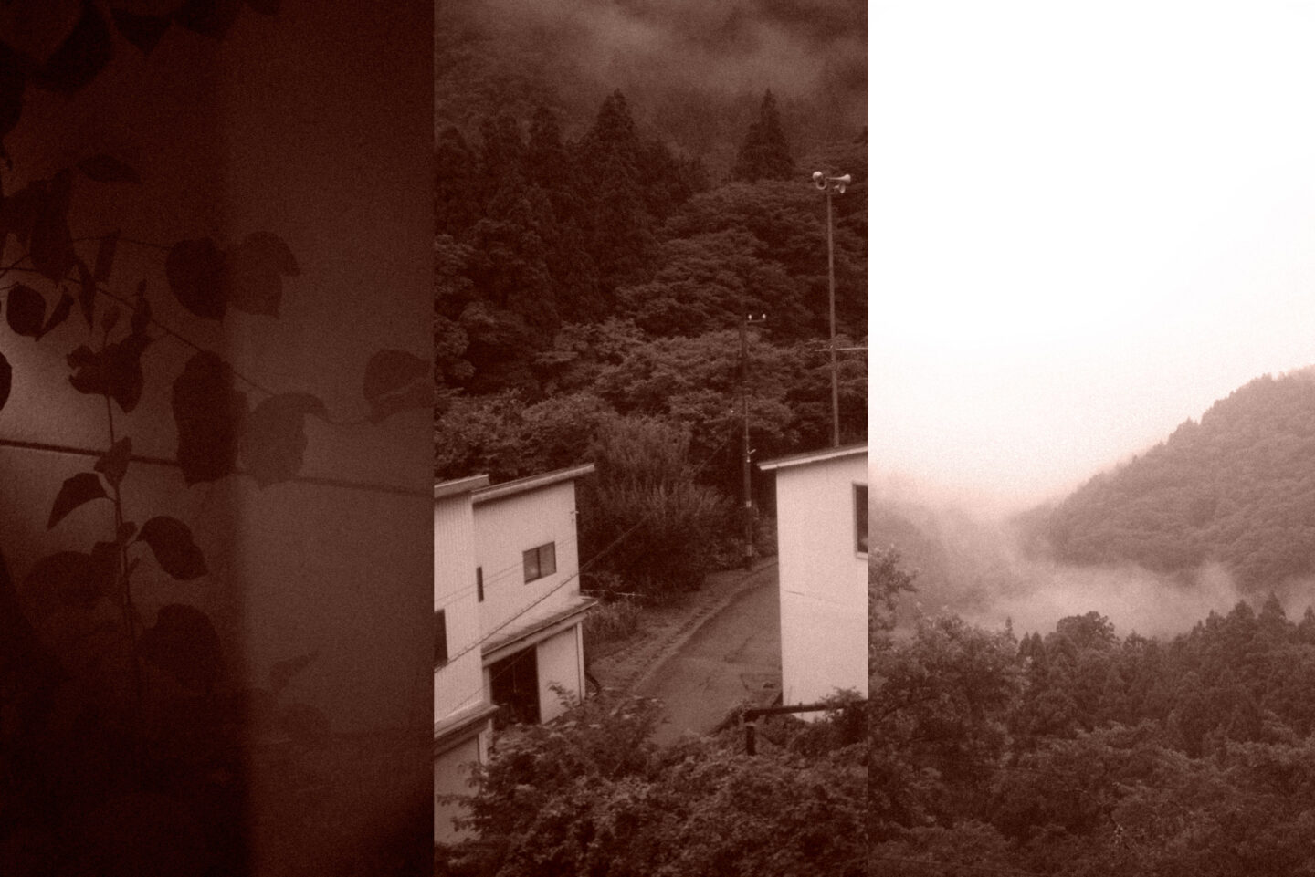 ソニー α7 IVで創る世界観の秘密｜kanako