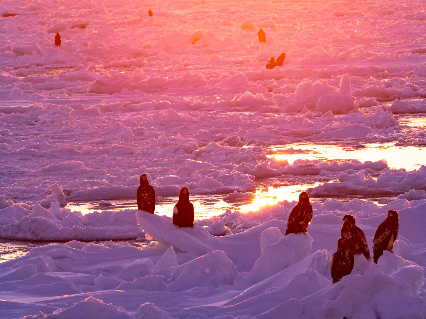 まるで絵画のような写真が撮れる！？色や光などを意識した絵画調撮影テクニックをご紹介