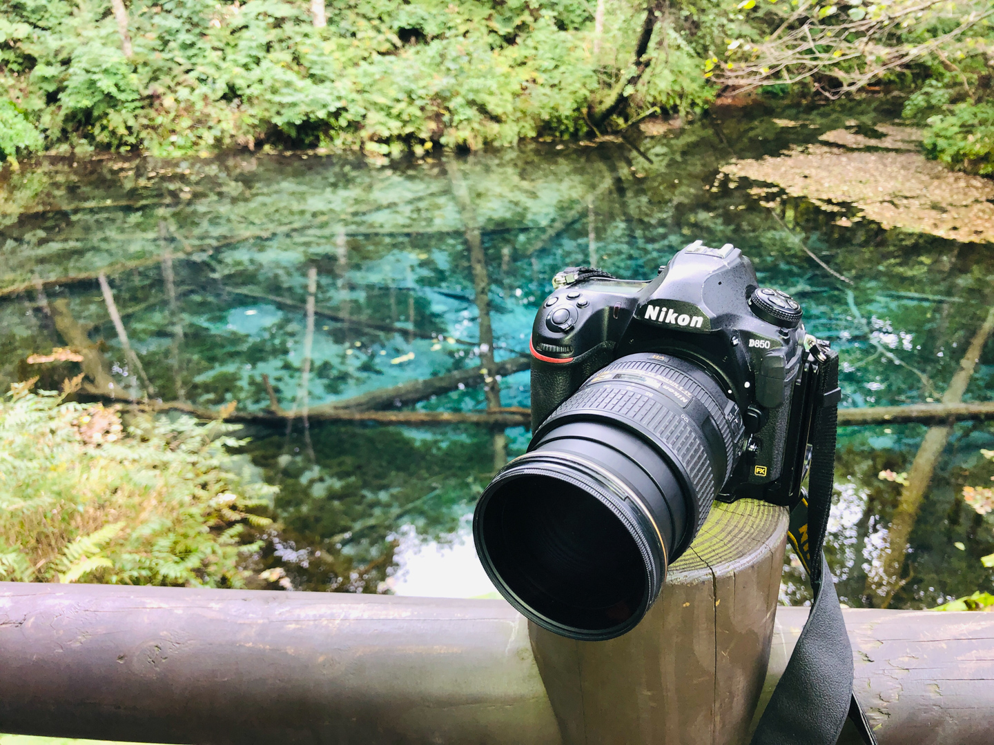 ネイチャースナップのすすめ｜C-PLフィルターを使いこなそう