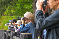 OM SYSTEM OM-3で広がる、自分らしい表現。札幌・西岡公園 撮影会レポート