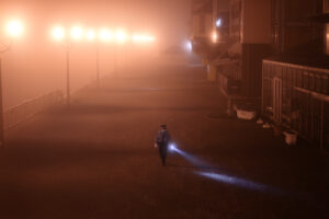 自然が創り出す魅惑のフィルター「霧」の世界を撮影してみよう