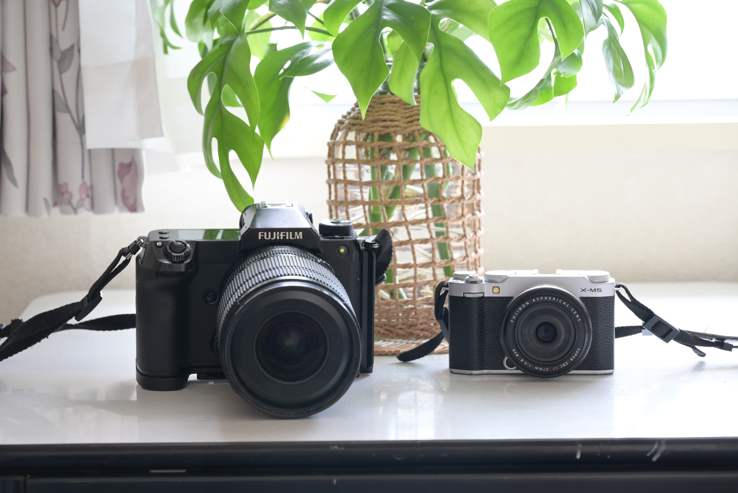 特撮 fuji m フジの野鳥撮影【フジフイルムのカメラで野鳥撮影】 - MONOKIRI 35mm