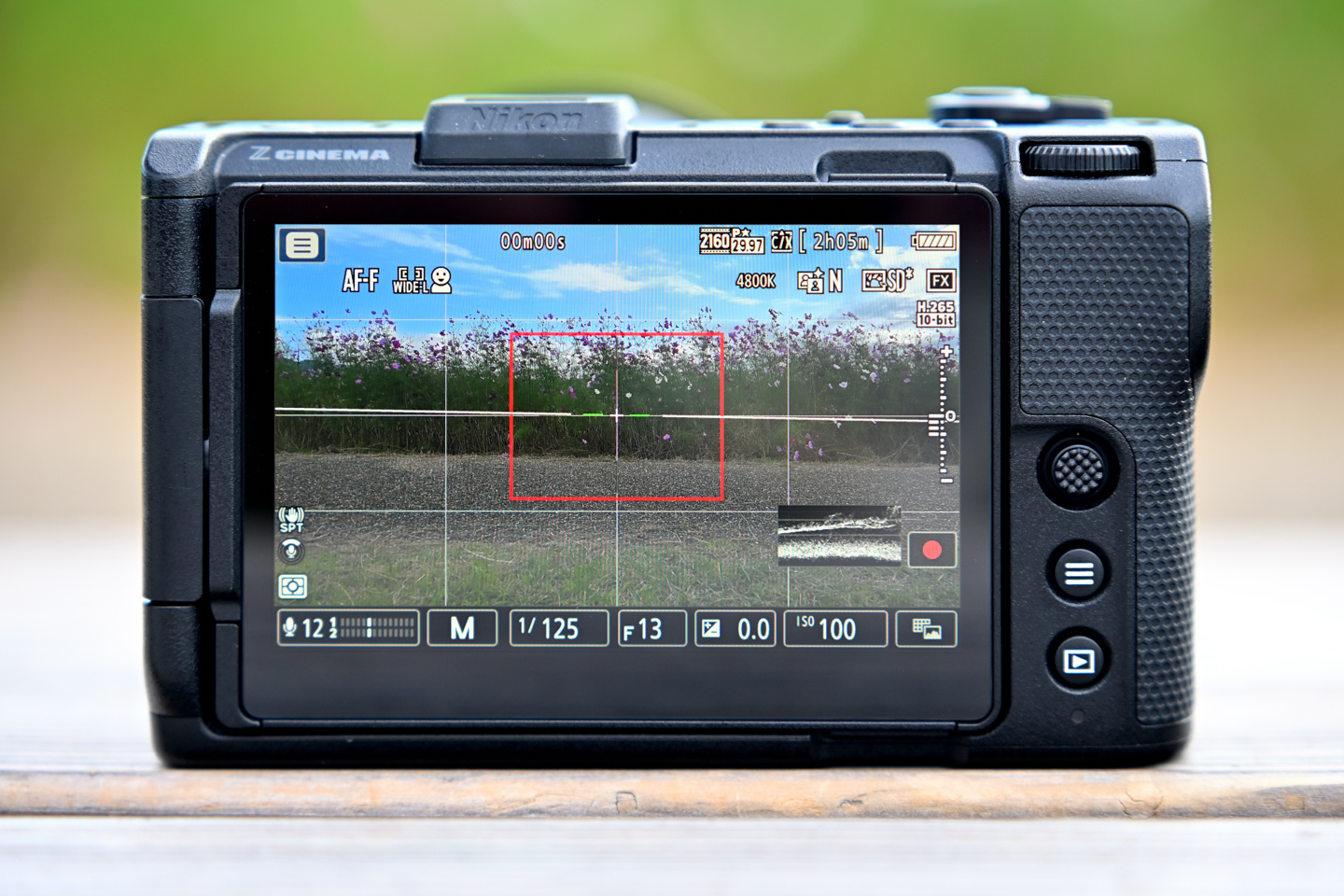 動画に特化したニコン初のシネマカメラ「ZR」の魅力に迫る！ | ShaSha