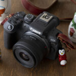初心者におすすめのカメラ『キヤノン EOS R10』｜写真家 金森玲奈