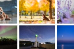 ソニー プロカメラマンセミナーを2週連続開催！講師は11月22日小川晃代氏、11月29日北山輝泰氏が登壇｜全国のカメラのキタムラ50店舗でライブ中継！