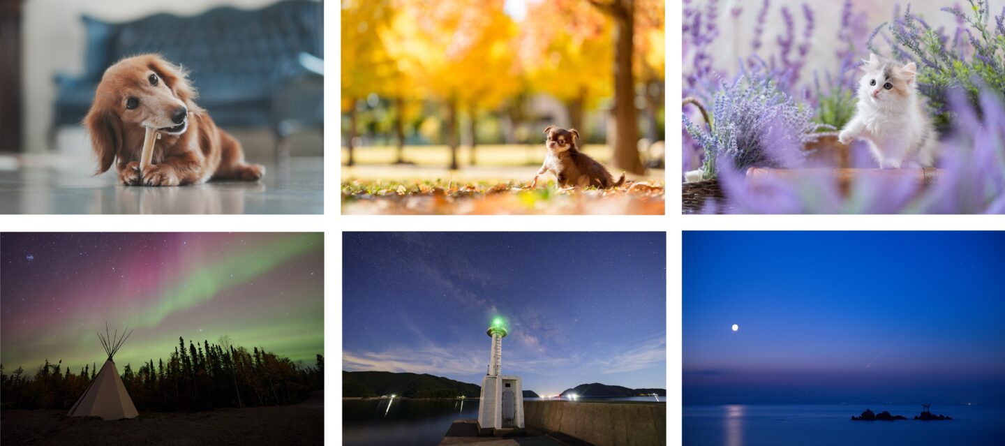 ソニー プロカメラマンセミナーを2週連続開催！講師は11月22日小川晃代氏、11月29日北山輝泰氏が登壇｜全国のカメラのキタムラ50店舗でライブ中継！