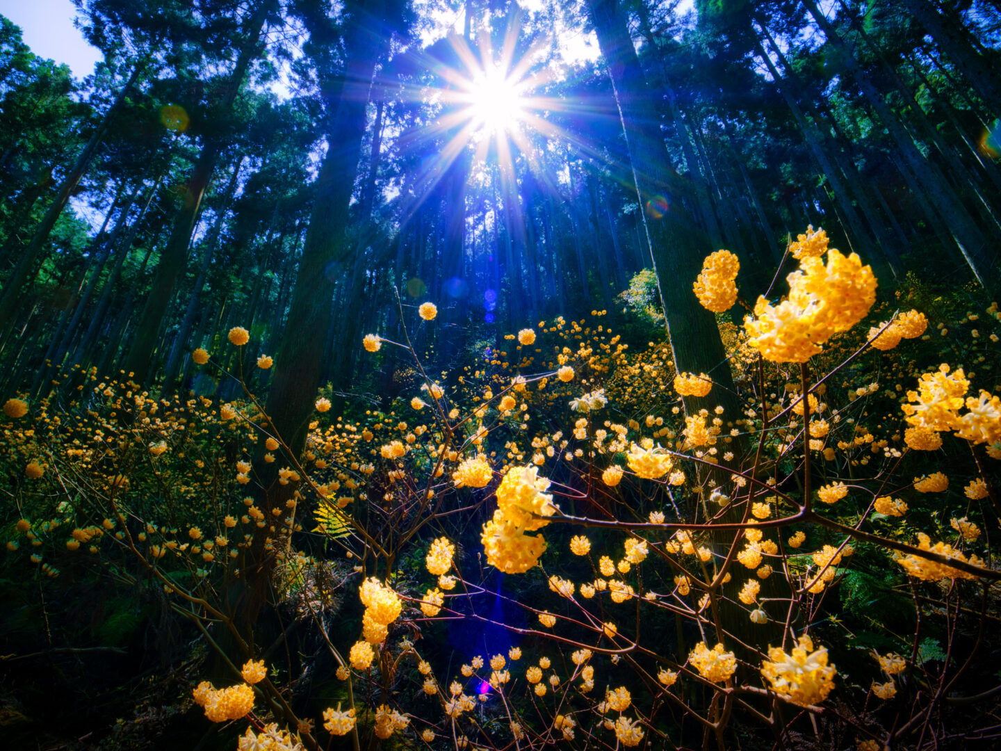 自然に身を委ね、ありのままを撮る｜写真家・木村琢磨が語る風景写真の魅力