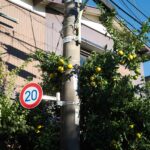 小型・軽量・画質の魅力を凝縮した富士フイルム X-T30 III レビュー｜こばやしかをる