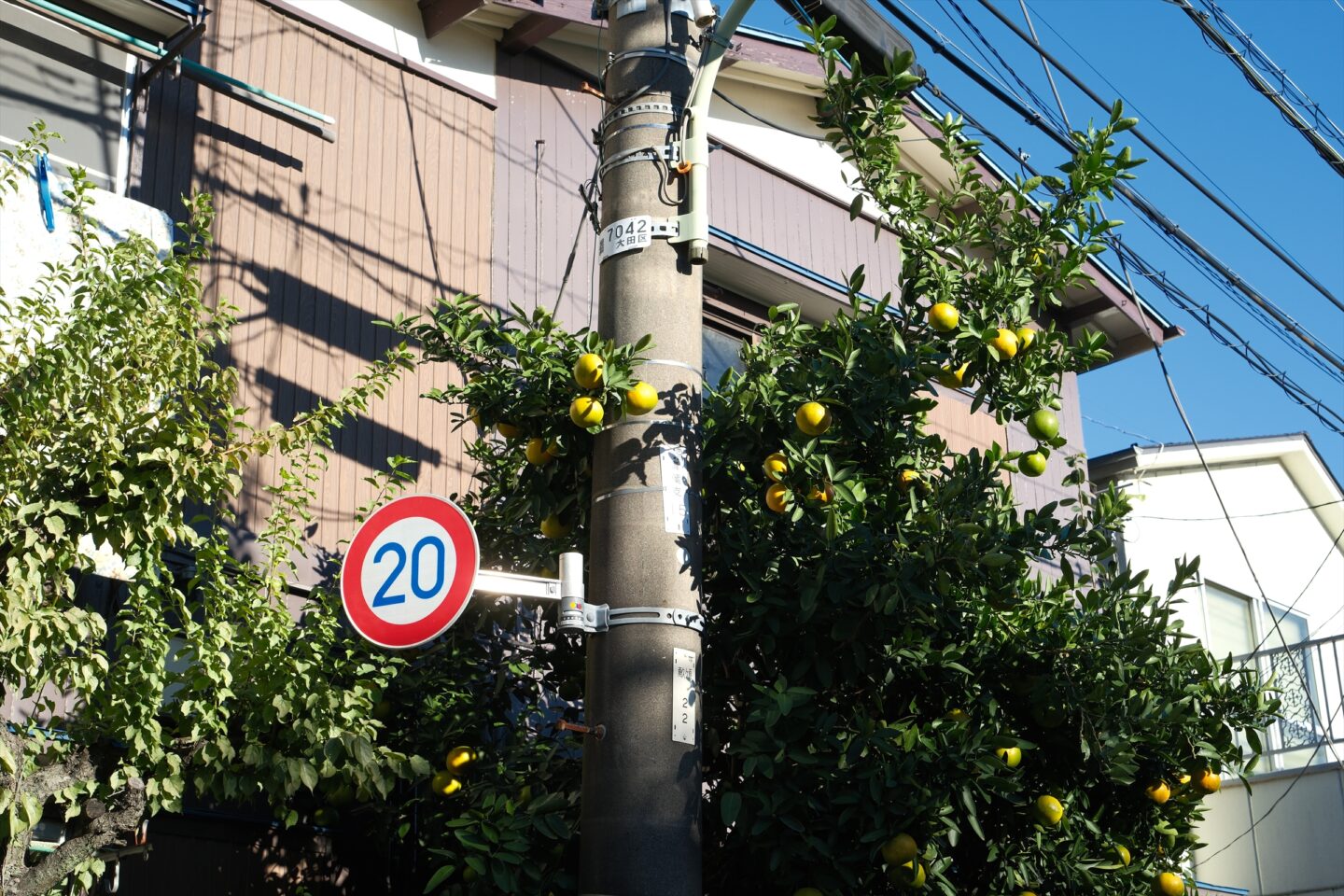 小型・軽量・画質の魅力を凝縮した富士フイルム X-T30 III レビュー｜こばやしかをる