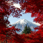 キヤノン EOS R6 Mark III 実写レビュー｜秋冬の風景を捉える3250万画素と“自然な描写力”