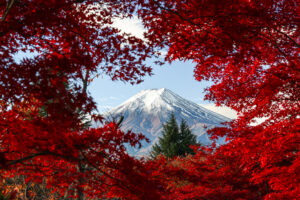 キヤノン EOS R6 Mark III 実写レビュー｜秋冬の風景を捉える3250万画素と“自然な描写力”