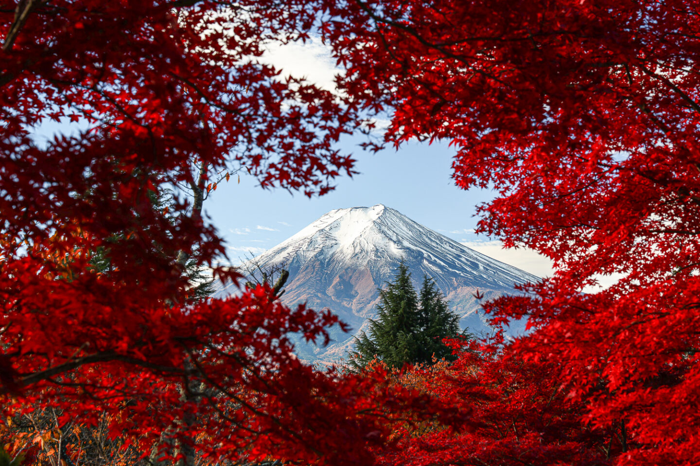 キヤノン EOS R6 Mark III 実写レビュー｜秋冬の風景を捉える3250万画素と“自然な描写力”