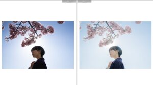 ポートレート写真での編集のコツ ～逆光編～｜あらまこと